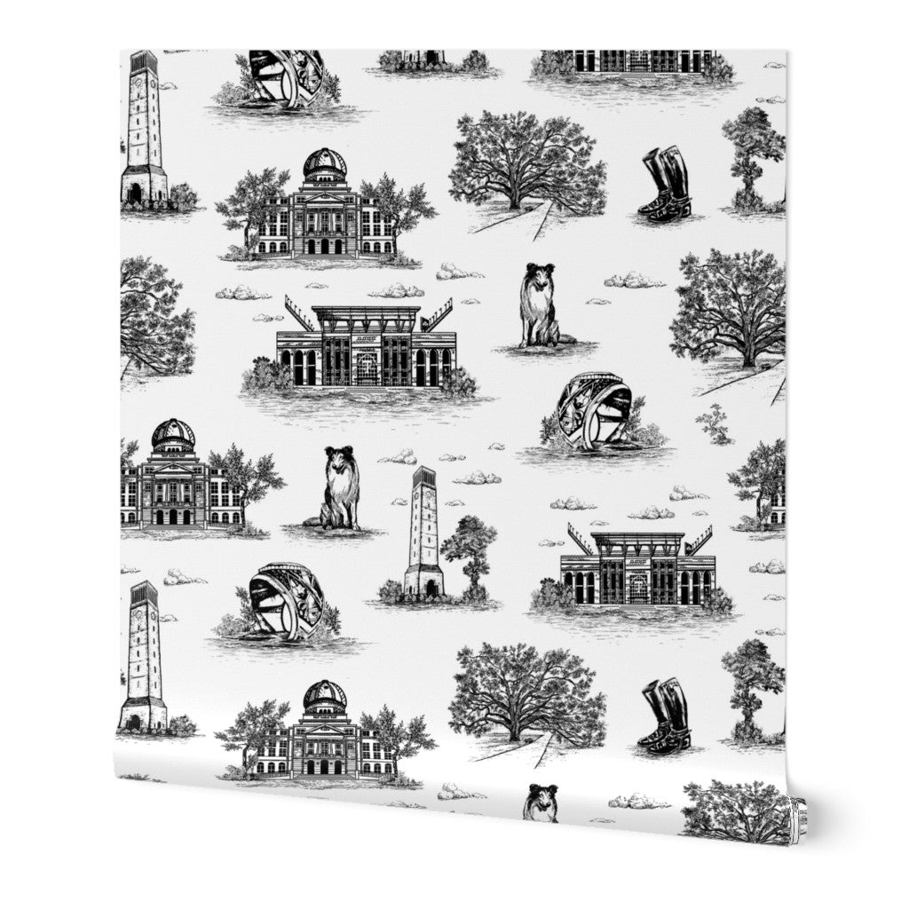 Custom Order - A&M Toile