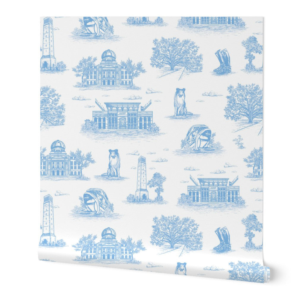 Custom Order - A&M Toile