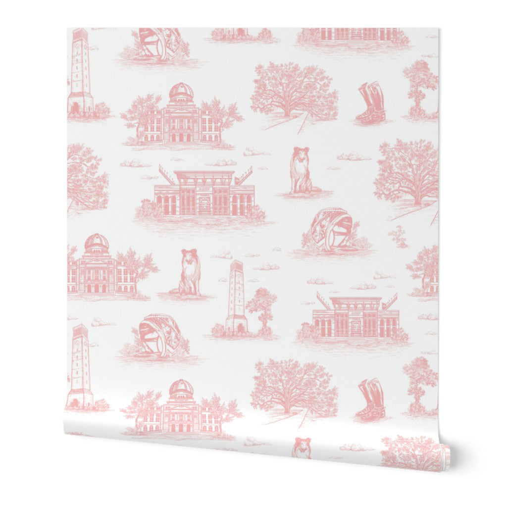 Custom Order - A&M Toile