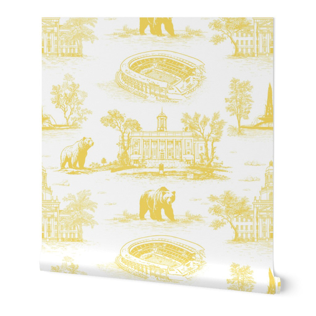 Custom Order - Baylor Toile