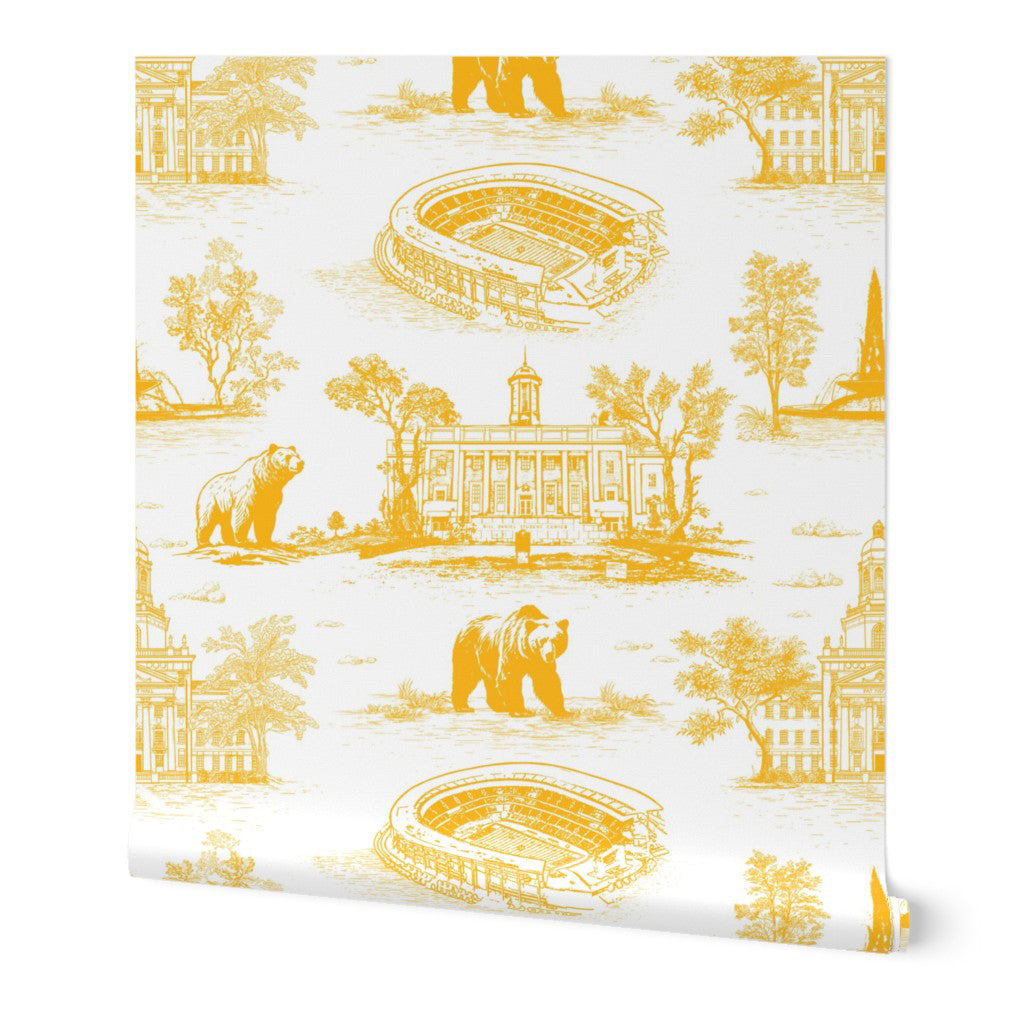 Custom Order - Baylor Toile